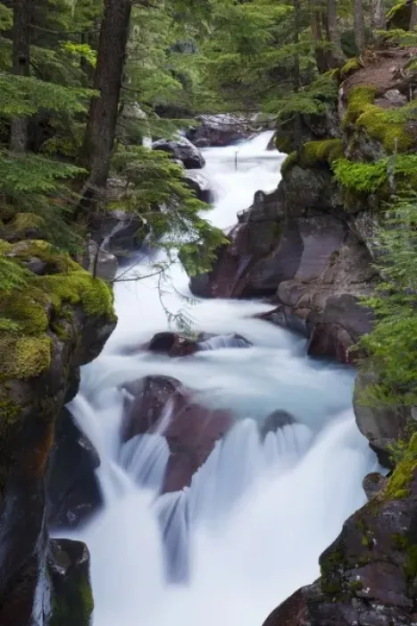 Framed Print : USA, Montana, Glacier National Park, Avalanche Creek Framed Print : USA, Montana, Glacier National Park, Avalanche Creek