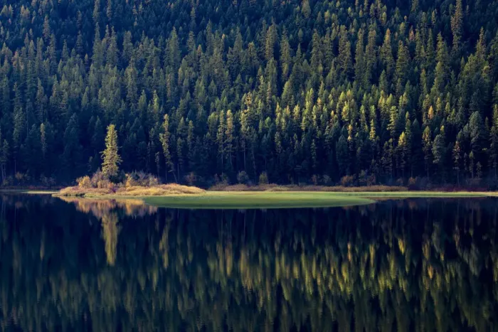 Framed Print : USA, Montana. Lone pine on island of green with reflections, Salmon Lake State Park Framed Print : USA, Montana. Lone pine on island of green with reflections, Salmon Lake State Park