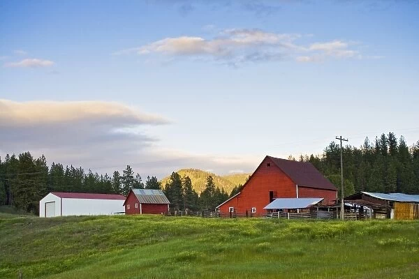 USA, Montana, north of Lolo, Farm, June