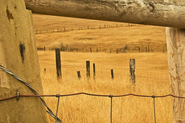 USA, Montana. Old fence framing other fences in prairie. Credit as: Nancy Rotenberg