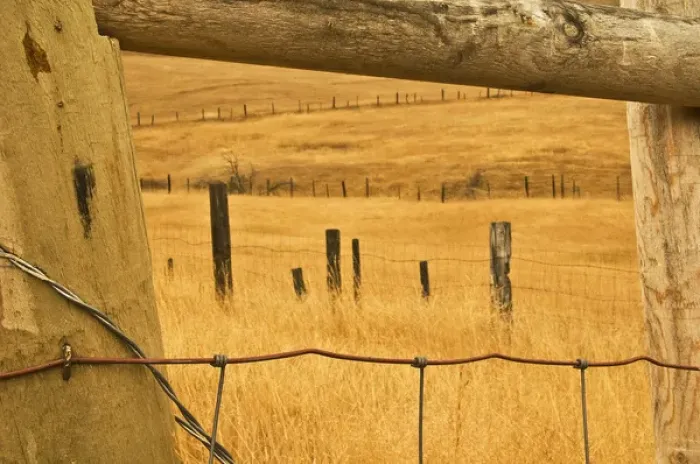 Framed Print : USA, Montana. Old fence framing other fences in prairie. Credit as: Nancy Rotenberg Framed Print : USA, Montana. Old fence framing other fences in prairie. Credit as: Nancy Rotenberg