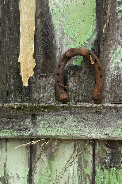 USA, Montana. Rusty horseshoe on old fence of a homestead