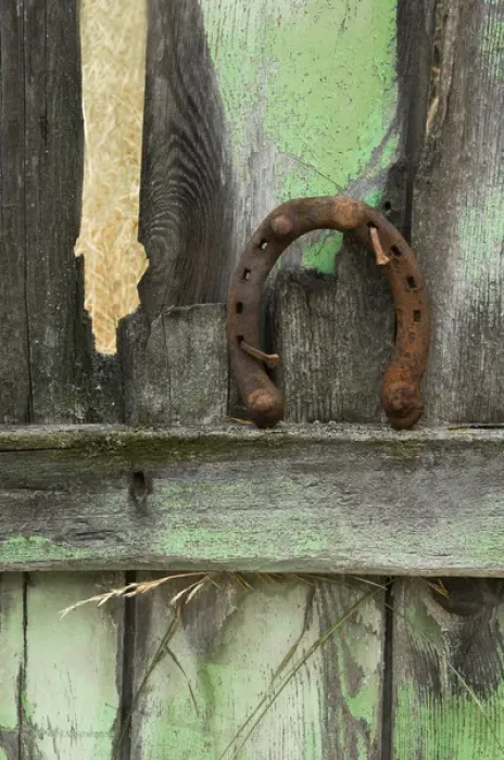 Framed Print : USA, Montana. Rusty horseshoe on old fence of a homestead Framed Print : USA, Montana. Rusty horseshoe on old fence of a homestead