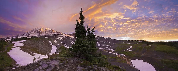 USA, Mt. Rainier National Park, Washington. Panorama at sunrise with Mt. Rainier