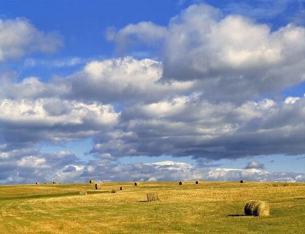 USA, Nebraska, Morrill County. Golden hay rolls await pick-up, under the enormous