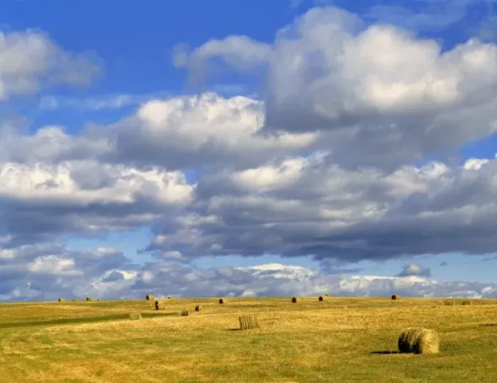 Framed Print : USA, Nebraska, Morrill County. Golden hay rolls await pick-up, under the enormous