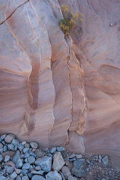 USA, Nevada. Abstract lines in the sandstone, Valley of Fire State Park