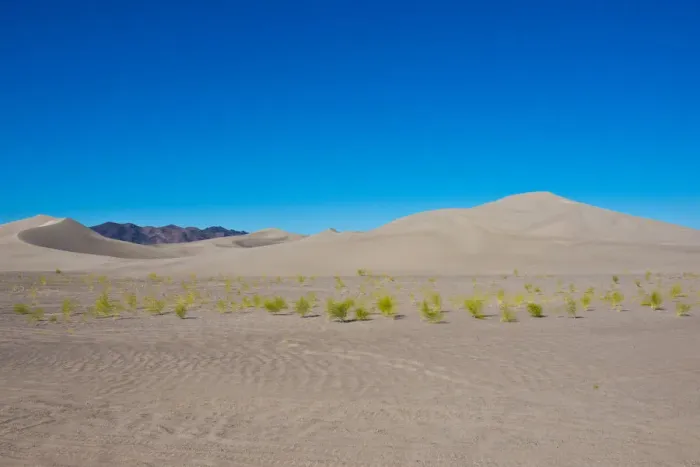 Framed Print : USA, Nevada, Beatty. Amargosa Dunes