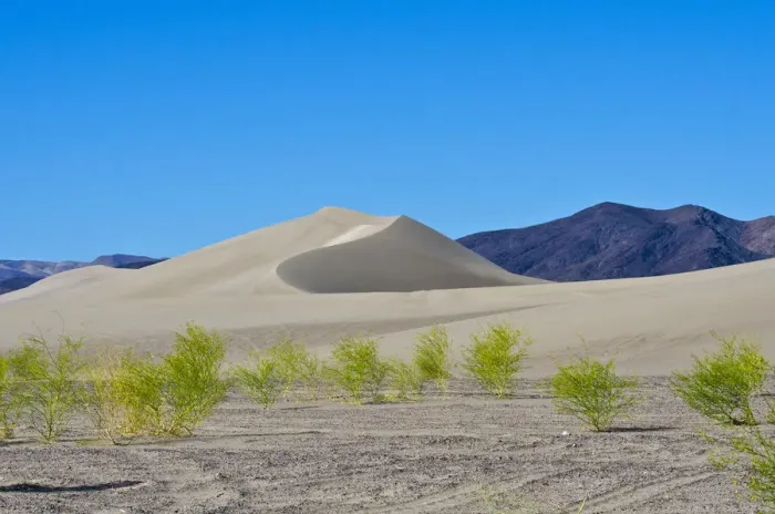 Framed Print : USA, Nevada. Beatty, Armargosa Dunes Framed Print : USA, Nevada. Beatty, Armargosa Dunes