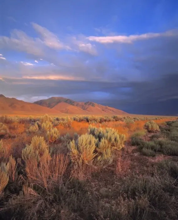 Framed Print : USA, Nevada, Denio. Sunset light colors the sagebrush and the hillsides in the Nevada desert
