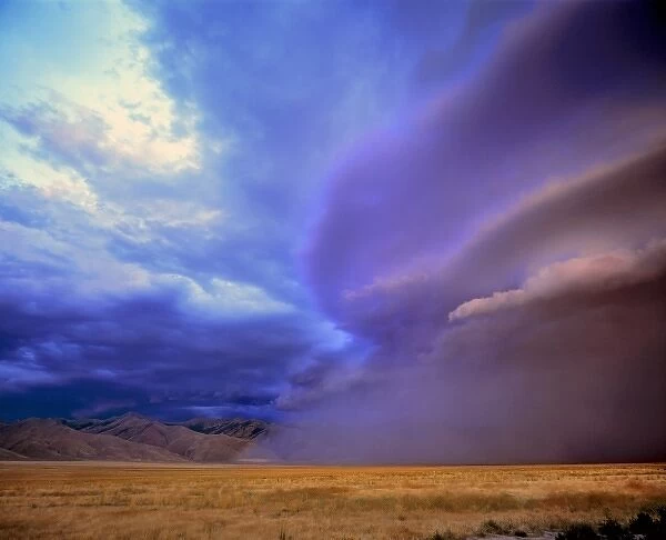 USA, Nevada, Humbolt Co. A storm moves over the Humbolt Country desert in Nevada