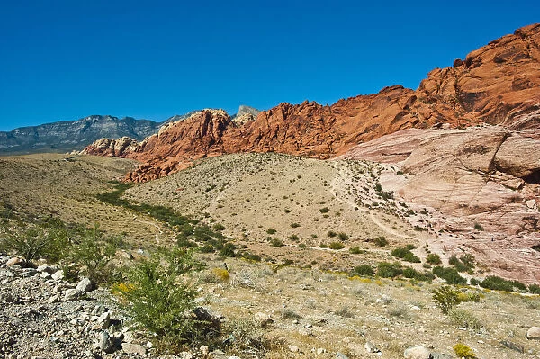 USA, Nevada, Las Vegas, Red Rock National Conservation Area, Calico Hills South Overlook