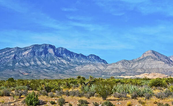 USA, Nevada, Las Vegas, Red Rock National Conservation Area, Red Rock Wash Overlook