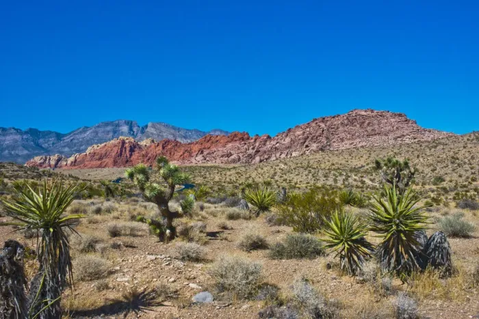 Framed Print : USA, Nevada. Las Vegas. Red Rock National Conservation Area, Calico Hills North