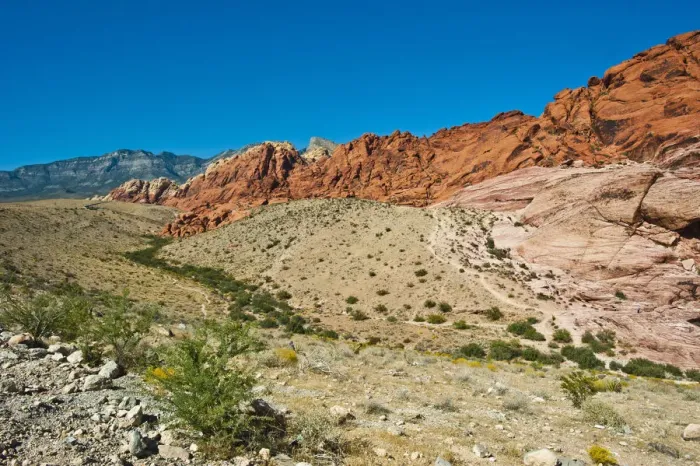 Framed Print : USA, Nevada, Las Vegas, Red Rock National Conservation Area, Calico Hills South Overlook Framed Print : USA, Nevada, Las Vegas, Red Rock National Conservation Area, Calico Hills South Overlook
