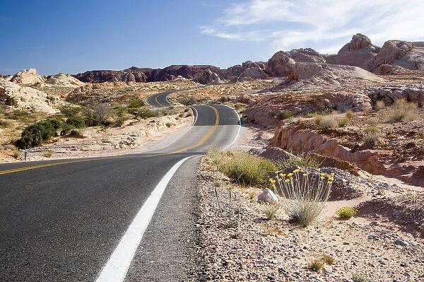 USA - Nevada. Looking down road running through Valley of Fire State Park