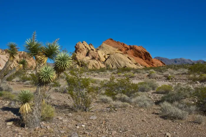Framed Print : USA, Nevada, Mesquite. Gold Butte National Monument, Whitney Pocket Framed Print : USA, Nevada, Mesquite. Gold Butte National Monument, Whitney Pocket