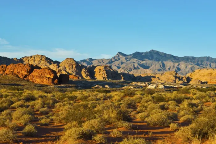 Framed Print : USA, Nevada, Mesquite. Gold Butte National Monument, Mud Road vista