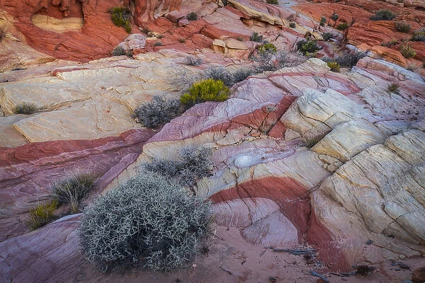 USA, Nevada, Overton, Valley of Fire State Park. Multi-colored rock formations. Credit as