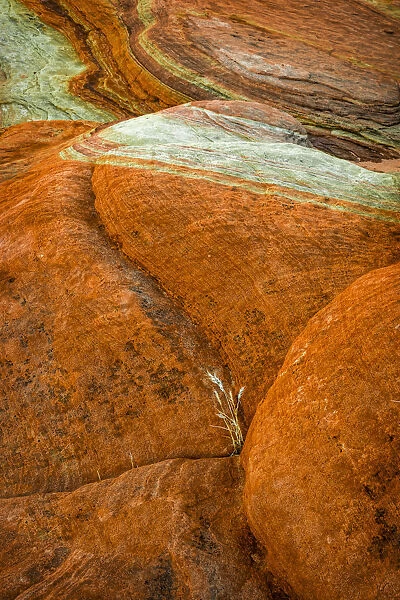 USA, Nevada, Overton, Valley of Fire State Park. Multi-colored rock formation. Credit as