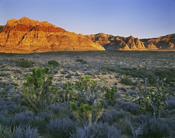 USA, Nevada, Red Rock Canyon. Sunset on hills and desert