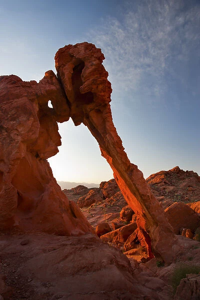 USA, Nevada, Valley of Fire State Park. View of Elephant Rock sandstone formation