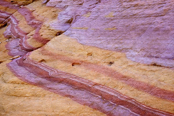 USA, Nevada, Valley of Fire State Park. Iron oxides color a sandstone formation. Credit as