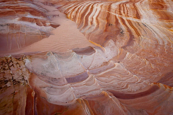 USA, Nevada, Valley of Fire State Park. Wildly striped and scalloped sandstone colorations