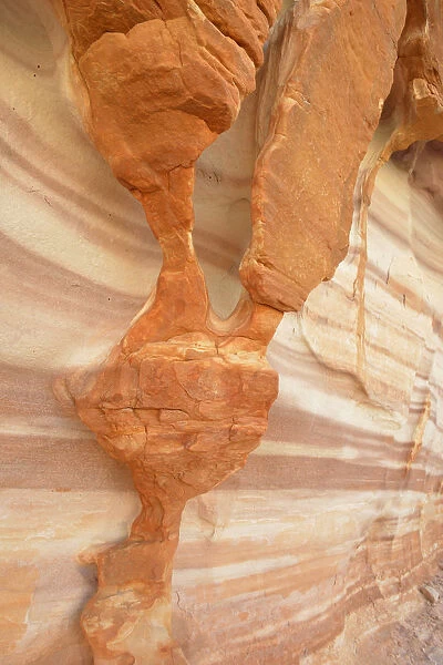 USA, Nevada, Valley of Fire State Park, Sculpted red sandstone