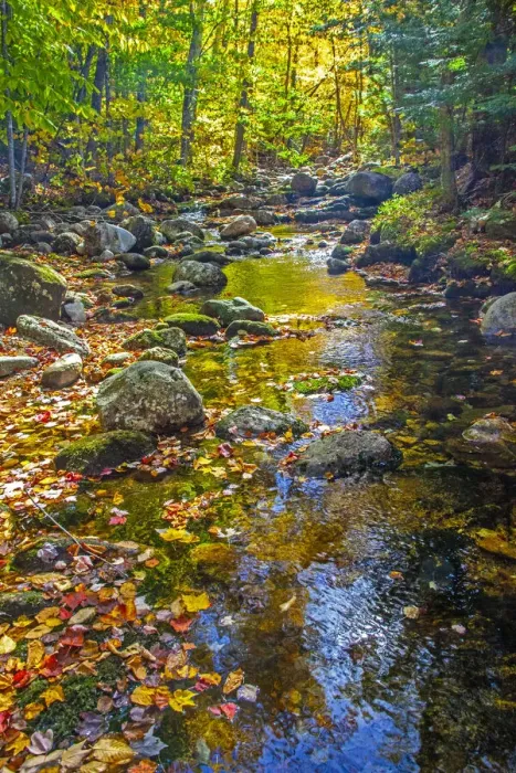 Framed Print : USA, New England, Maine Autumn and stream just off of Wild River Road