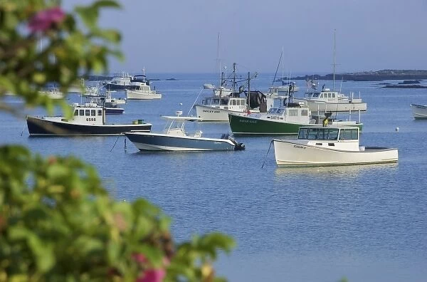 USA, New England, Maine, Kennebunkport, boats moored in harbor