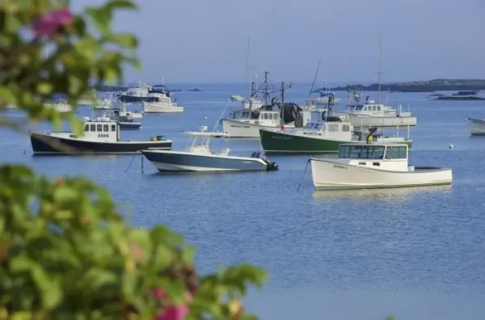Framed Print : USA, New England, Maine, Kennebunkport, boats moored in harbor Framed Print : USA, New England, Maine, Kennebunkport, boats moored in harbor
