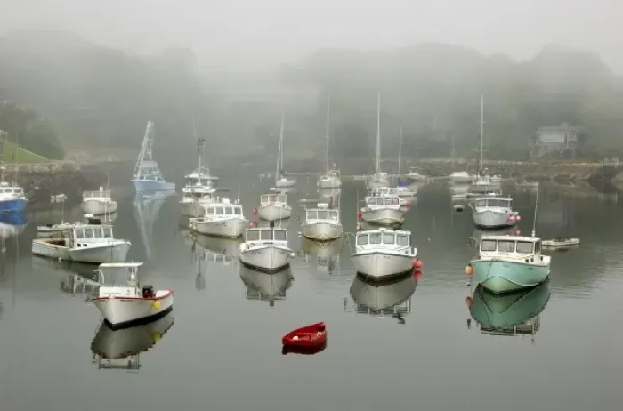 Framed Print : USA, New England, Maine, Ogunquit, boats in Perkins Cove