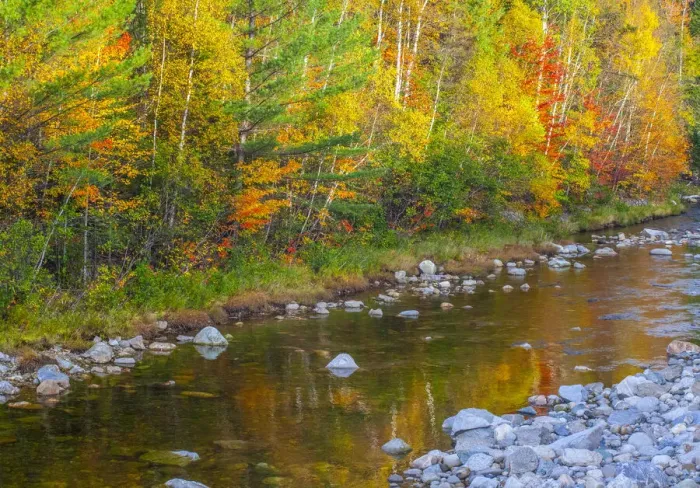 Framed Print : USA, New England, Maine, Wild River, reflections of Autumn colors in small river Framed Print : USA, New England, Maine, Wild River, reflections of Autumn colors in small river