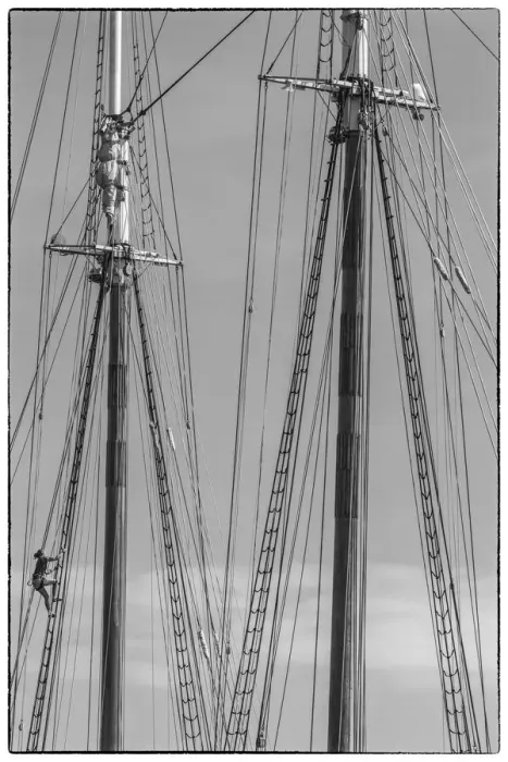 Framed Print : USA, New England, Massachusetts, Cape Ann, Gloucester, Gloucester Schooner Festival