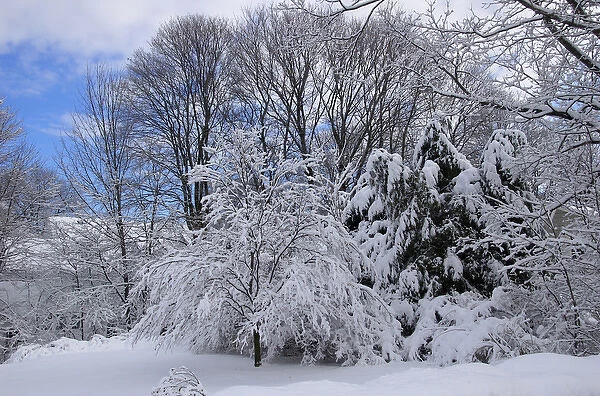 USA, New England, Massachusetts, Reading, winter scene