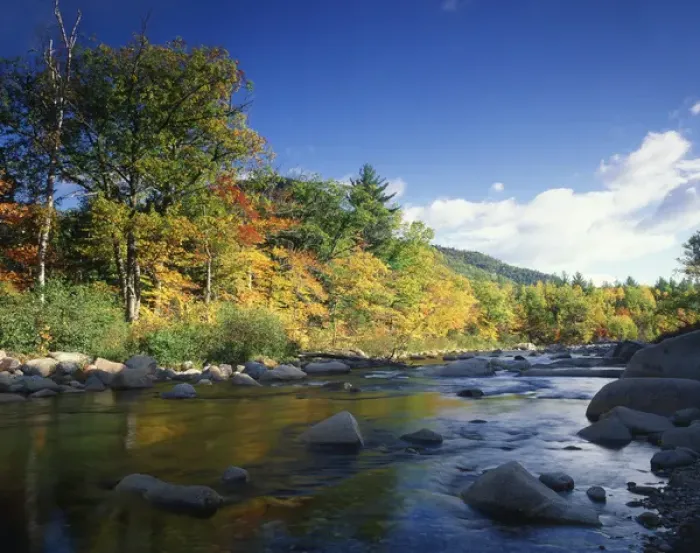 Framed Print : USA, New England, New Hampshire, White Mountain National Forest, Autumn colours Framed Print : USA, New England, New Hampshire, White Mountain National Forest, Autumn colours