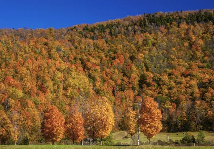 Framed Print : USA, New England, Vermont Framed Print : USA, New England, Vermont