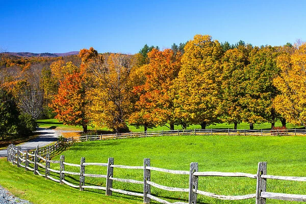 USA, New England, Vermont countryside with curved gravel road fence in Autumn