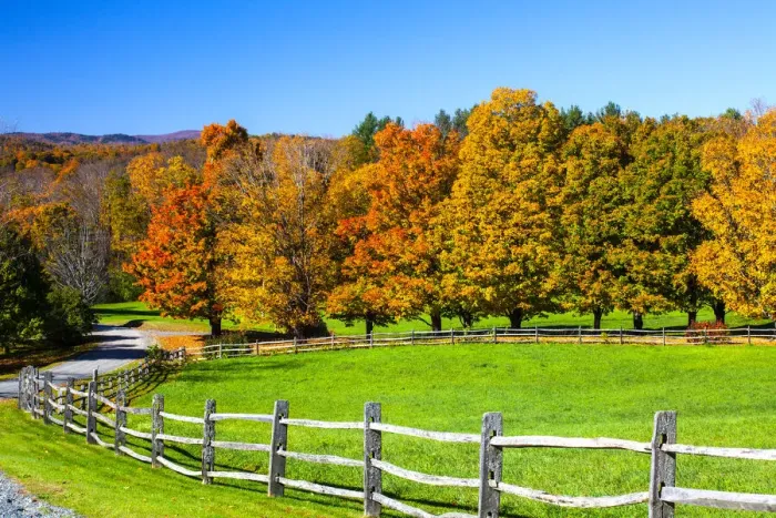 Framed Print : USA, New England, Vermont countryside with curved gravel road fence in Autumn