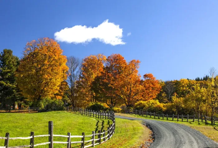 Framed Print : USA, New England, Vermont countryside with curved gravel road fence in Autumn Framed Print : USA, New England, Vermont countryside with curved gravel road fence in Autumn