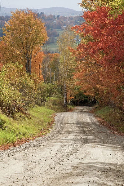 USA, New England, Vermont tree-lined roadway in Autumns Fall colors