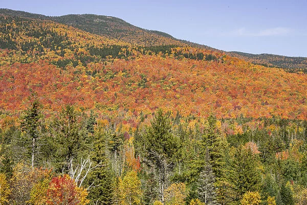 USA, New Hampshire, fall foliage