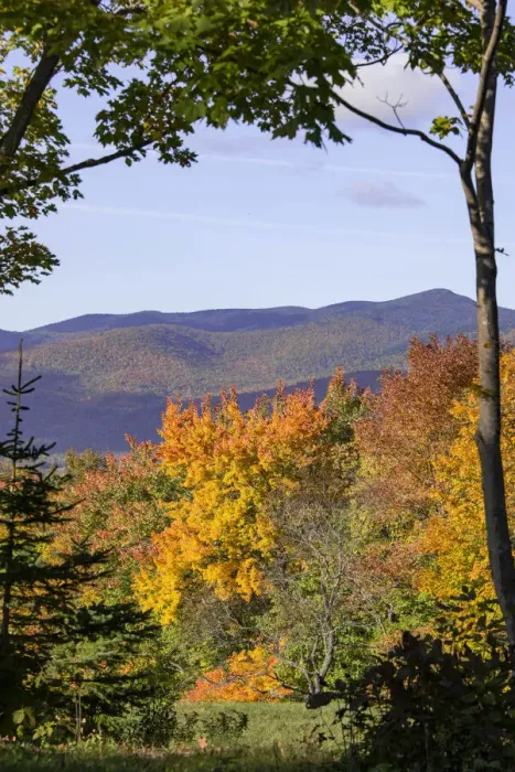 Framed Print : USA, New Hampshire, fall foliage Lancaster on Gore Road Framed Print : USA, New Hampshire, fall foliage Lancaster on Gore Road