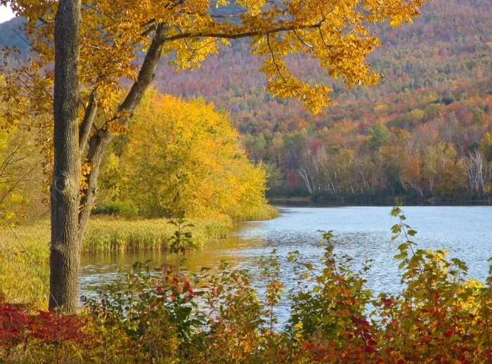 Framed Print : USA, New Hampshire, Franconia, small lake surrounded by Fall color of Maple, White Birch