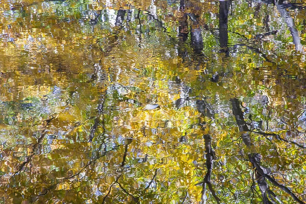 USA, New Hampshire, Gorham Autumn colors reflected in small pond