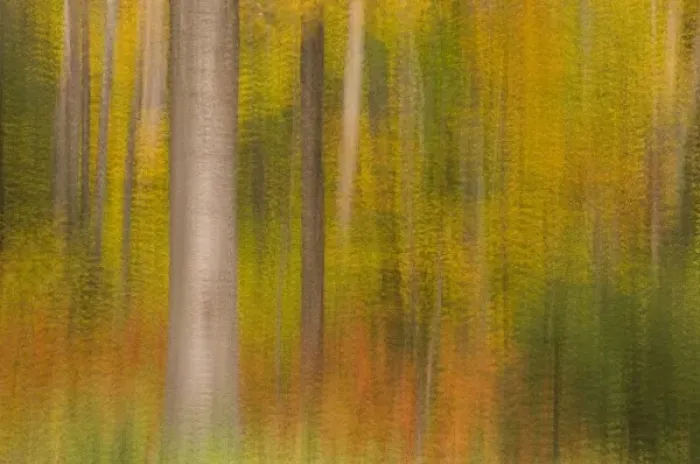 Framed Print : USA, New Hampshire, Livermore, White Mountain National Forest, multiple expsoure