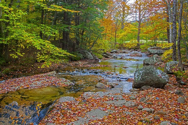 USA, New Hampshire, New England, Jackson small stream surrounded in Fall color