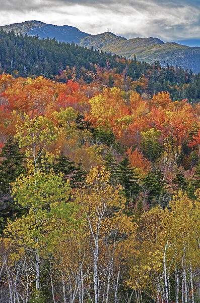 USA, New Hampshire, New England Fall colors on hillsides along highway 16 north of