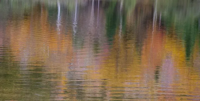 Framed Print : USA, New Hampshire, New England Fall colors reflected in the waters of the Saco River Framed Print : USA, New Hampshire, New England Fall colors reflected in the waters of the Saco River